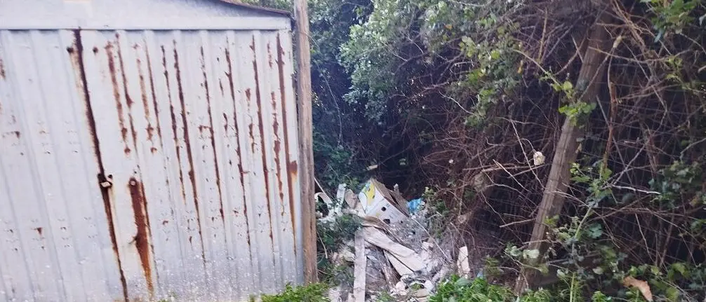 Lazzaro, rami tra i cavi elettrici e degrado: ANCADIC chiede interventi urgenti