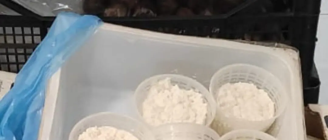 Reggio, Polizia Locale: sequestrati latticini conservati nel bagagliaio di un'autovettura