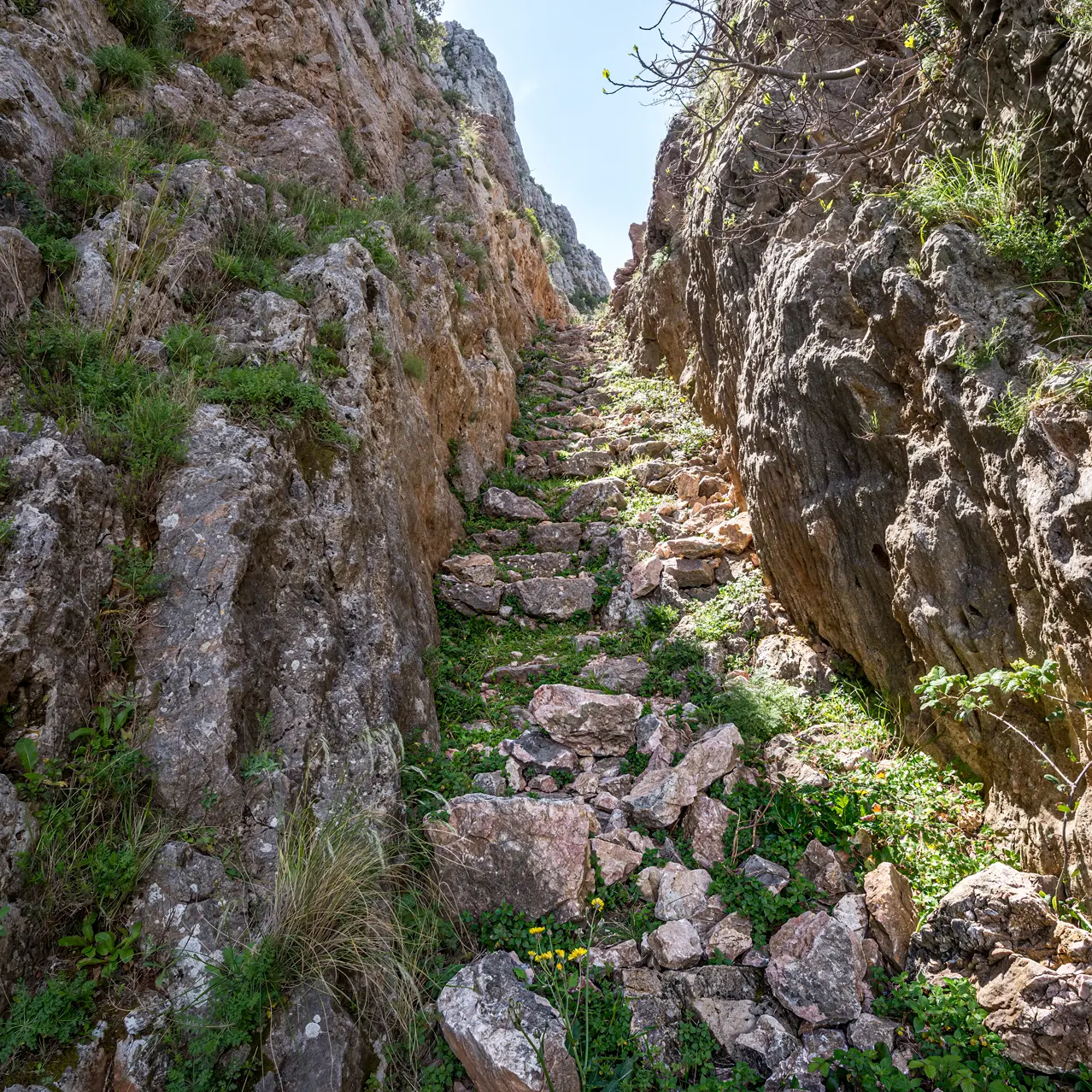 Nuova escursione organizzata dall'Associazione \"Gente in Aspromonte\"