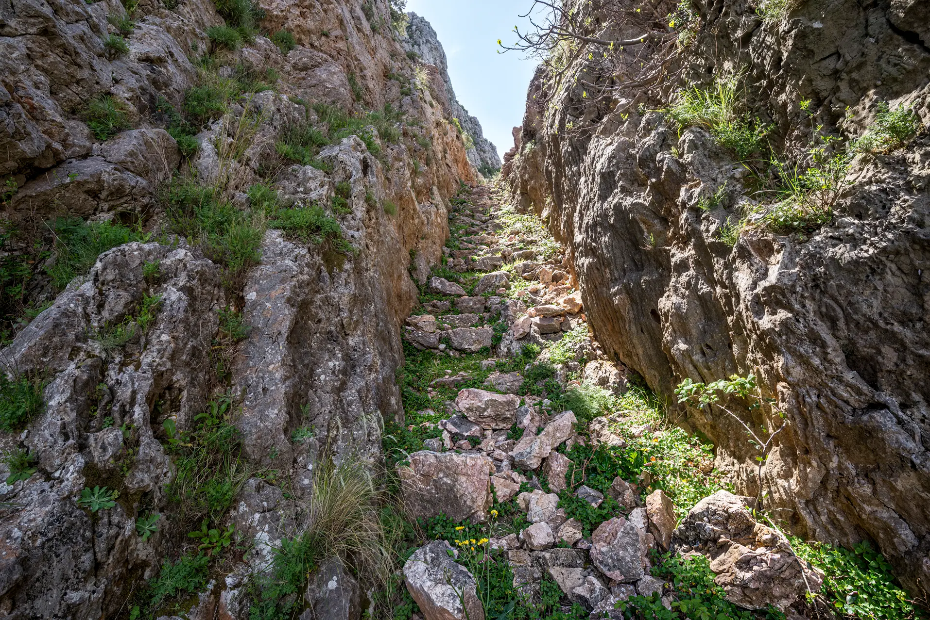 Nuova escursione organizzata dall'Associazione \"Gente in Aspromonte\"