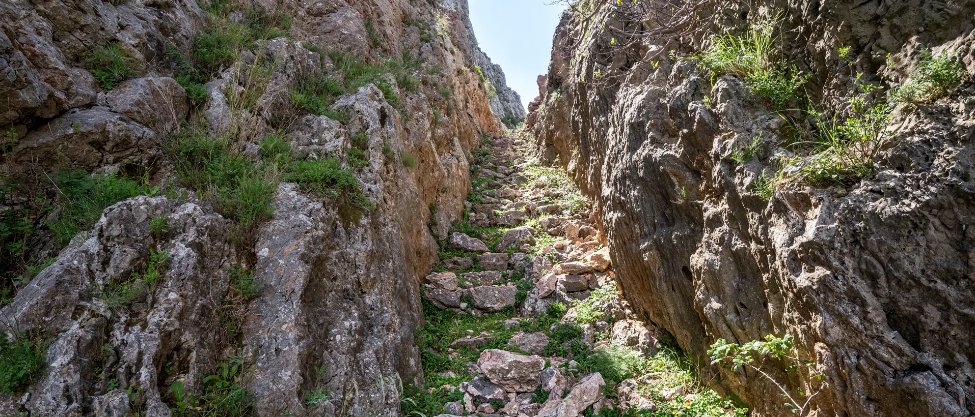 Nuova escursione organizzata dall'Associazione \"Gente in Aspromonte\"