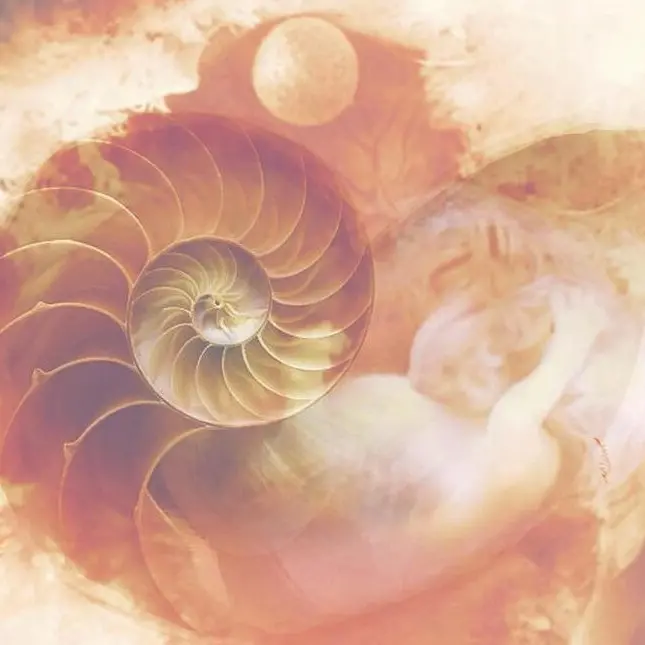 Reggio, al CineTeatro Metropolitano Michele Tarzia presenta \"The pink shell\"