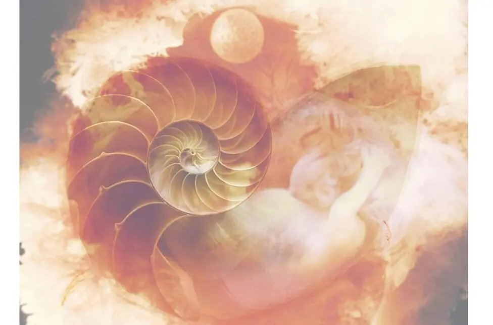 Reggio, al CineTeatro Metropolitano Michele Tarzia presenta \"The pink shell\"