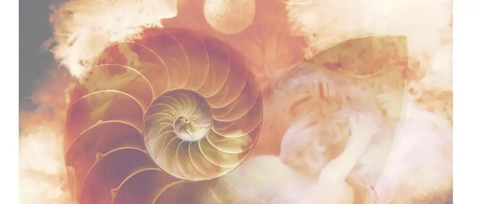 Reggio, al CineTeatro Metropolitano Michele Tarzia presenta \"The pink shell\"