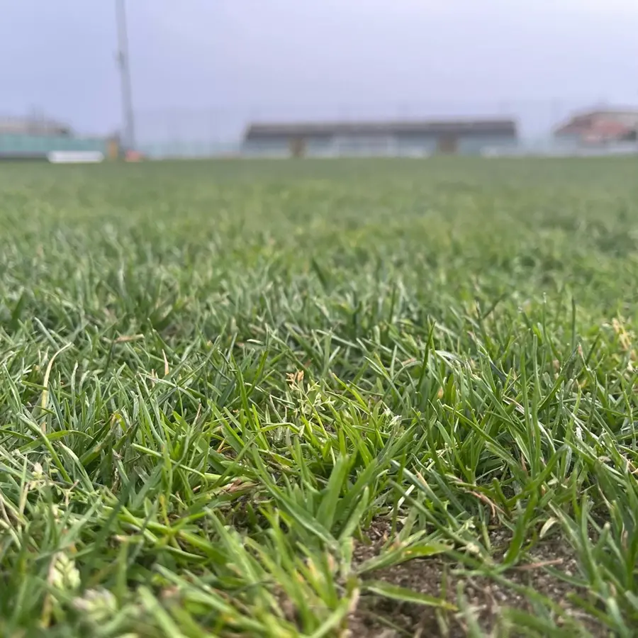 Il Siracusa vince in rimonta, la Reggina all'ultimo minuto, crollo Scafatese. Atzori a rischio?