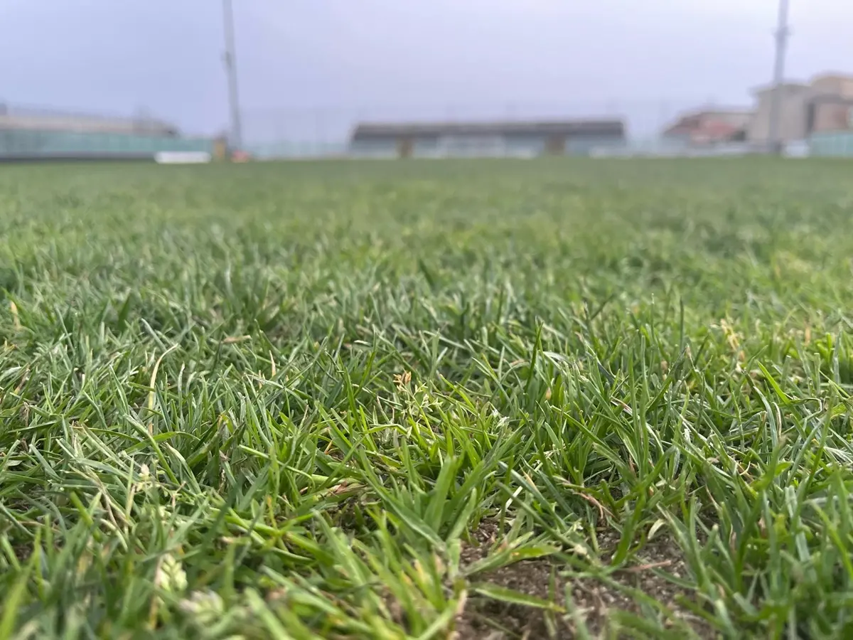 Il Siracusa vince in rimonta, la Reggina all'ultimo minuto, crollo Scafatese. Atzori a rischio?