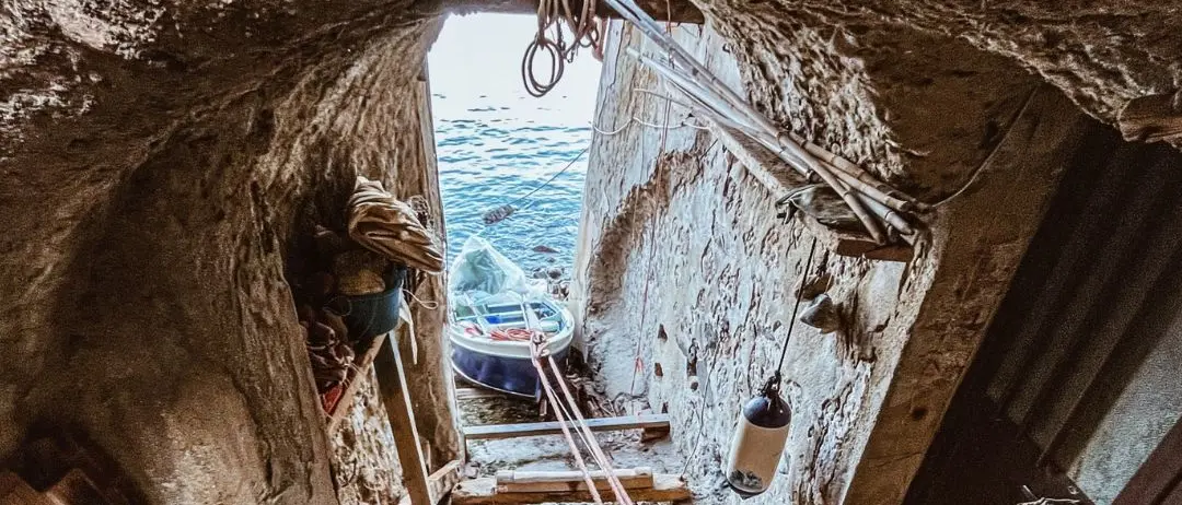 LA FOTO DEL GIORNO | Dietro ogni sguardo si cattura l'anima