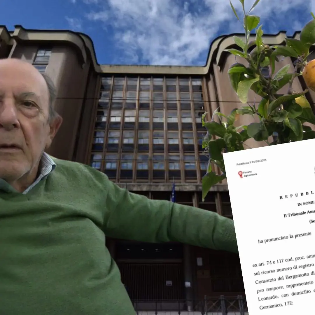LA GUERRA DEL BERGAMOTTO | Dopo la sentenza del Tar parla il presidente del Consorzio Ezio Pizzi: «Siamo noi che profumiamo il mondo» - VIDEO