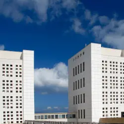 L’Università Mediterranea aderisce alla \"Call for AI Ethics\": nuovi progetti di ricerca con l'intelligenza artificiale