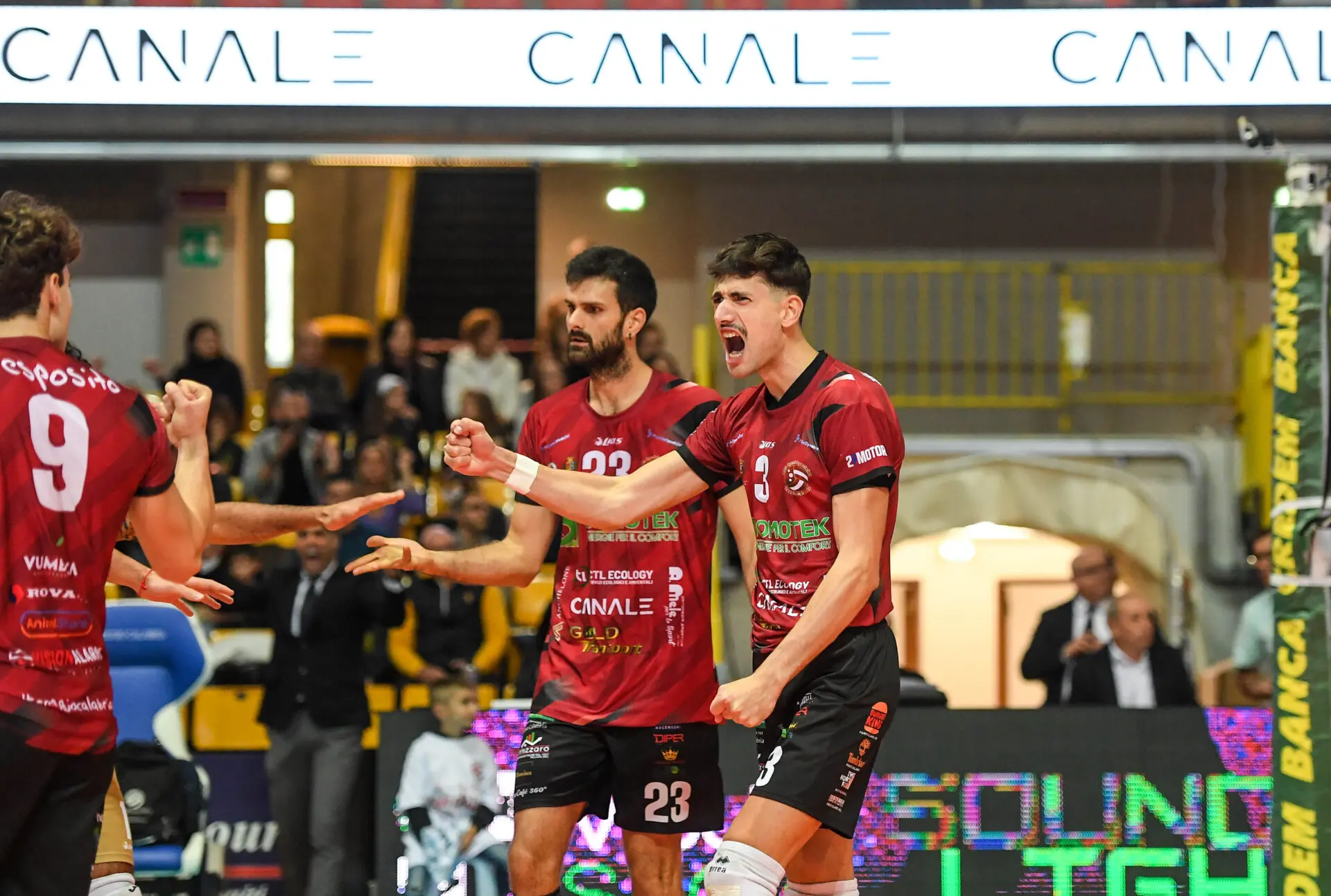 Alessandro Stufano rassicura i tifosi: «Nulla di grave, tornerò presto. Questa Domotek ha un valore enorme»