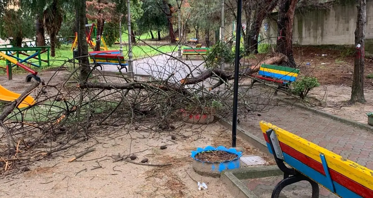Maropati tra degrado e pericoli, il verde pubblico abbandonato dal Comune