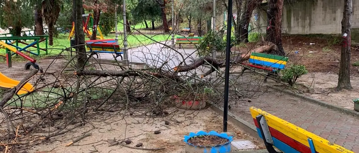 Maropati tra degrado e pericoli, il verde pubblico abbandonato dal Comune