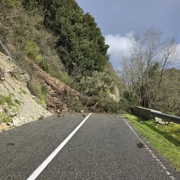 Frana sulla Cittanova-Zomaro: traffico interrotto sulla SP1