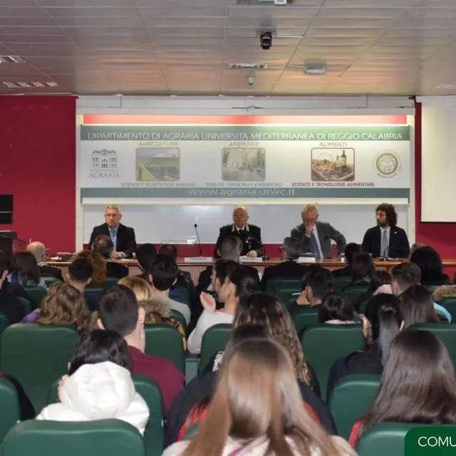 Reggio, verde urbano e tutela delle foreste: focus al dipartimento di Agraria della Mediterranea