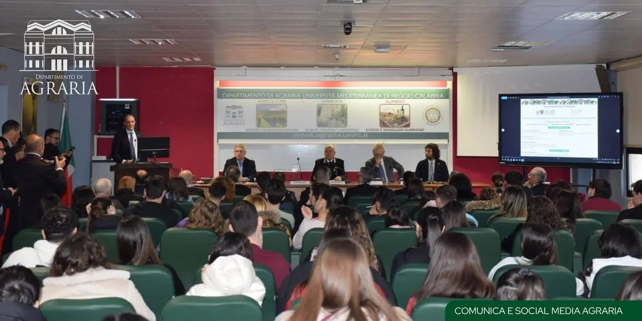 Reggio, verde urbano e tutela delle foreste: focus al dipartimento di Agraria della Mediterranea