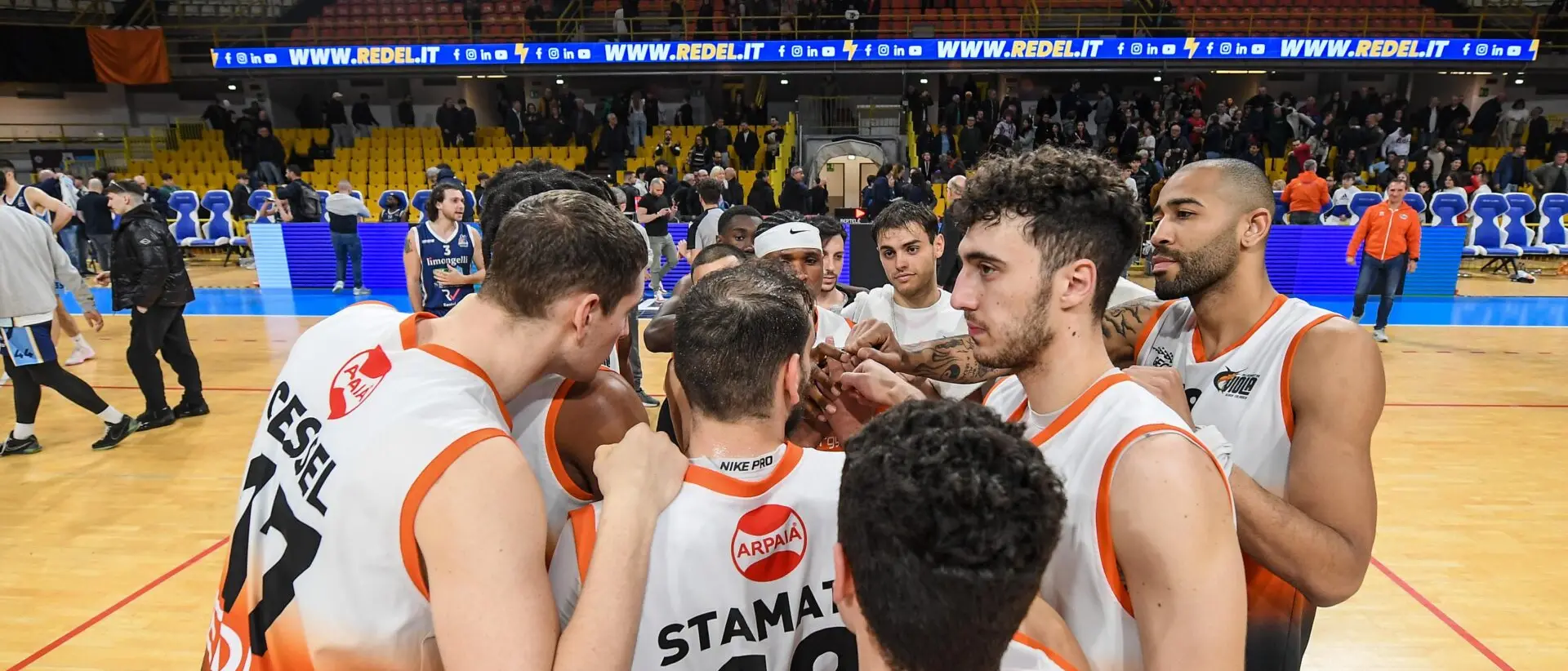 La Redel Viola domina in casa contro la Dinamo Brindisi