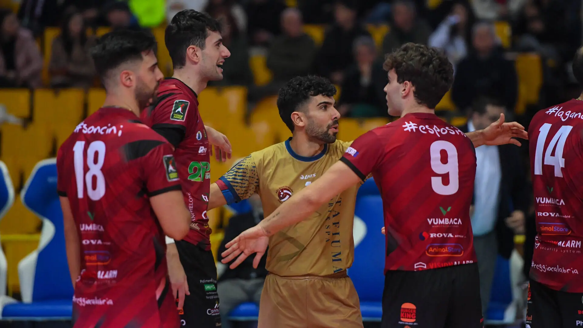 Saverio De Santis torna in campo e trascina la Domotek Volley: «Vittoria e cuore, ora sogniamo in grande»