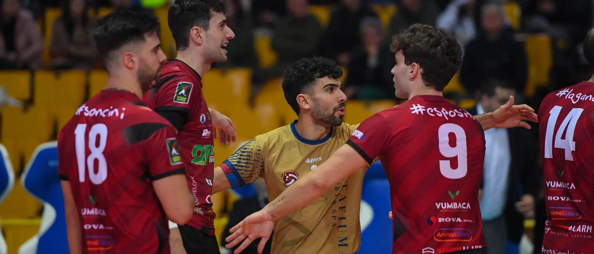 Saverio De Santis torna in campo e trascina la Domotek Volley: «Vittoria e cuore, ora sogniamo in grande»