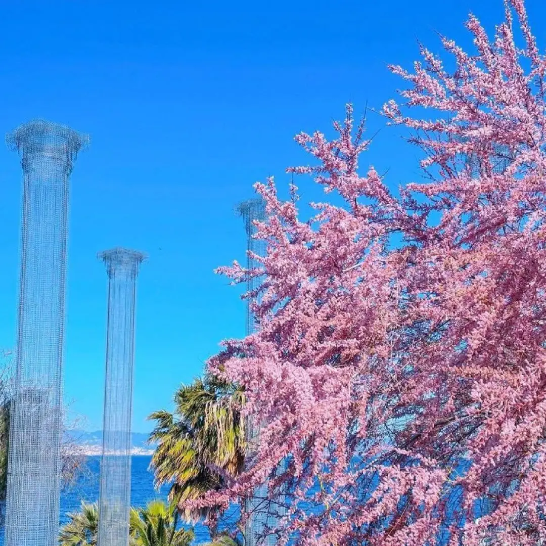LA FOTO DEL GIORNO | Lo spettacolo più bello del mondo