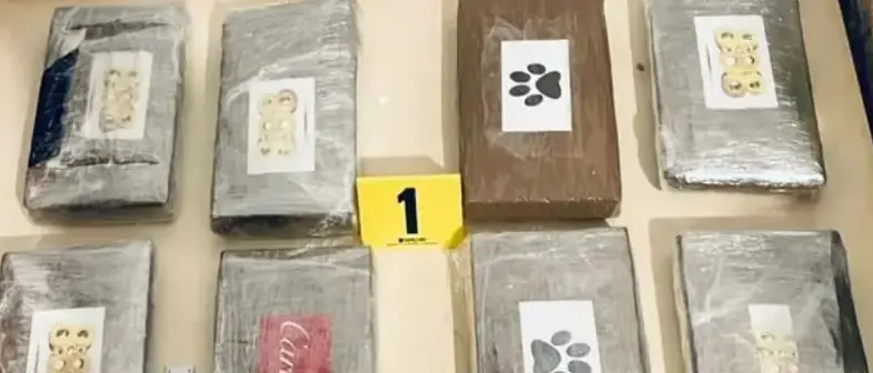 Ad Ardore un laboratorio per produrre cocaina seguendo le direttive dei chimici colombiani