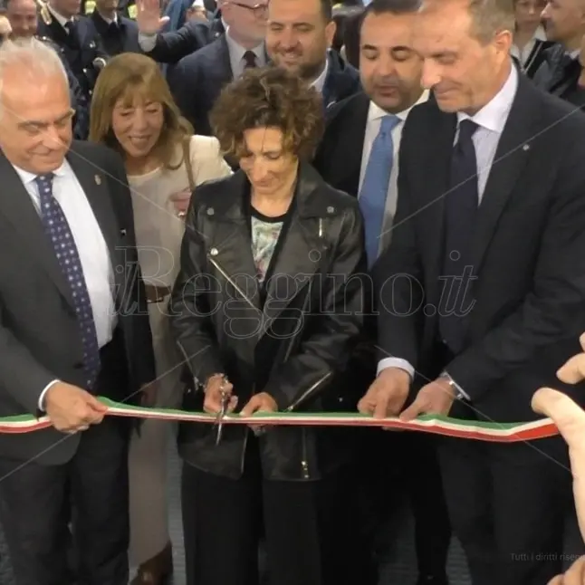 Reggio, memoria e denuncia ne “I colori oltre le mafie” del pittore siciliano Gaetano Porcasi - FOTO e VIDEO