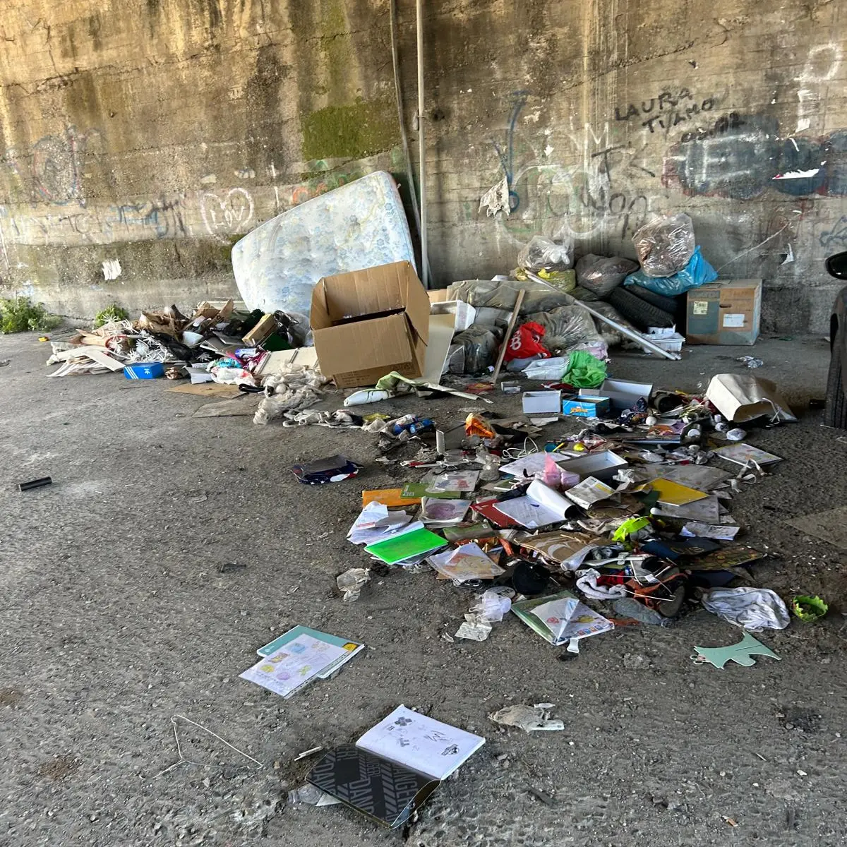 Ponte di Sant’Anna, Occhipinti denuncia abbandono del quartiere e sollecita disinfestazione urgente