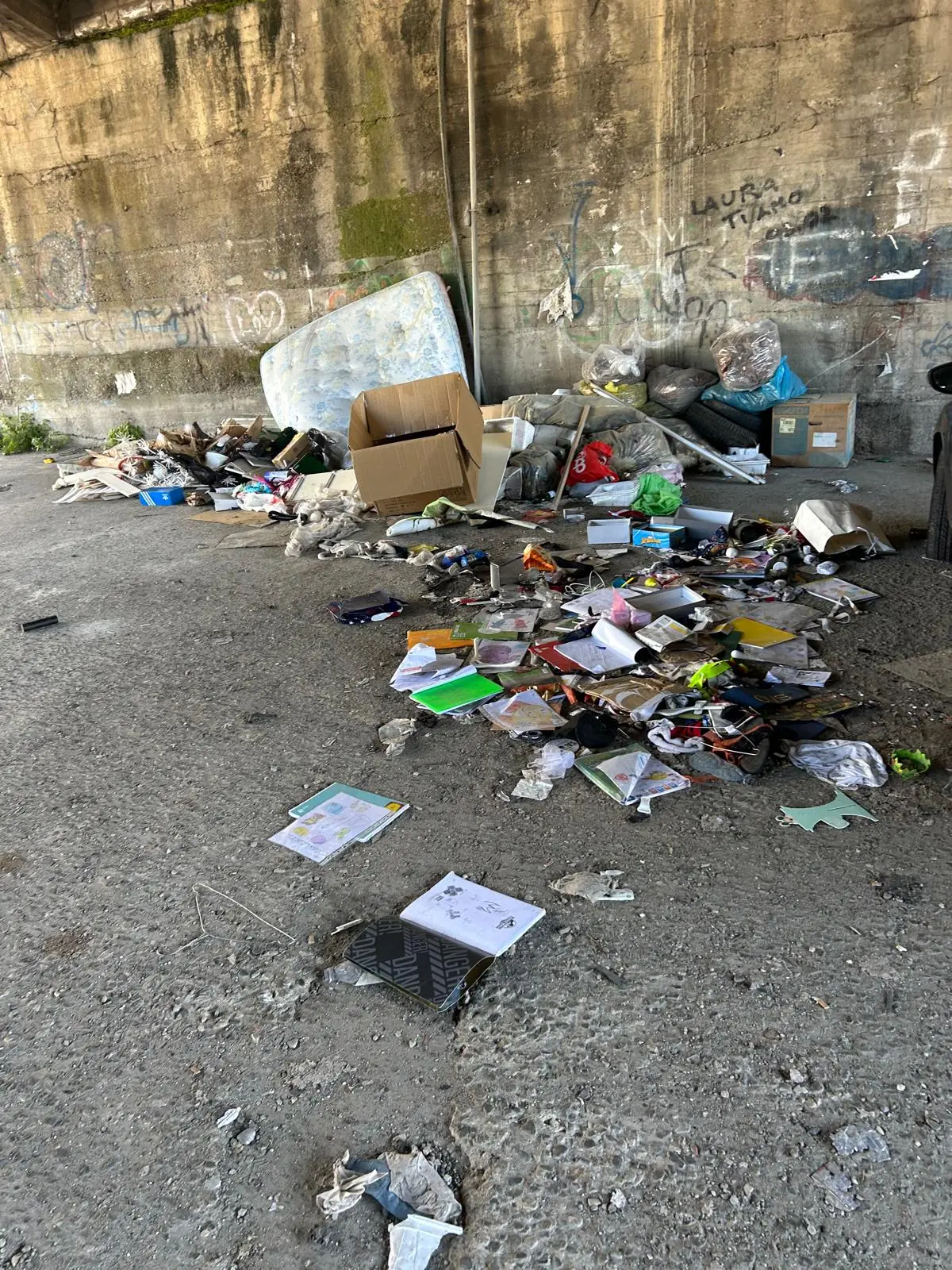 Ponte di Sant’Anna, Occhipinti denuncia abbandono del quartiere e sollecita disinfestazione urgente