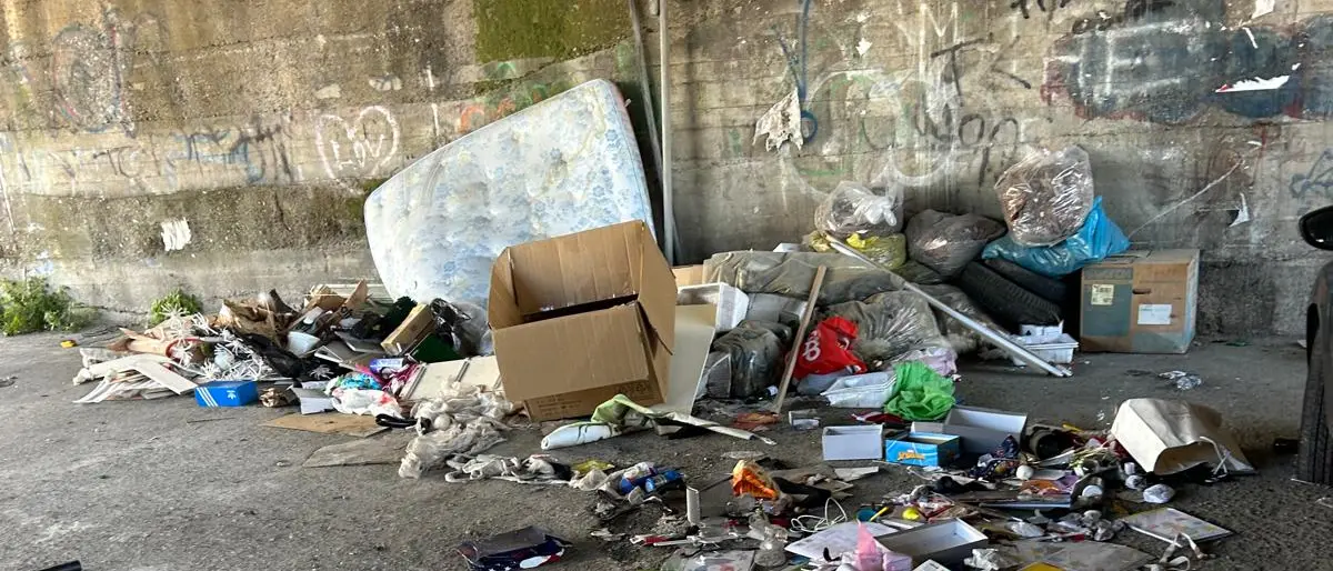 Ponte di Sant’Anna, Occhipinti denuncia abbandono del quartiere e sollecita disinfestazione urgente