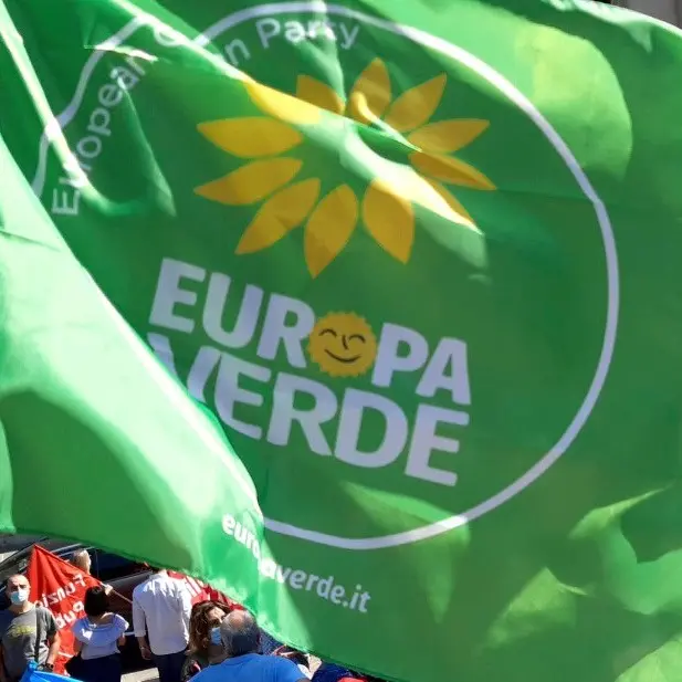 Ambiente, Europa Verde: «Troppi abbattimenti, a Reggio un declino inaccettabile del patrimonio arboreo»