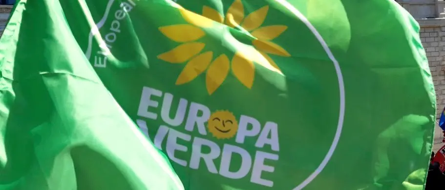 Ambiente, Europa Verde: «Troppi abbattimenti, a Reggio un declino inaccettabile del patrimonio arboreo»