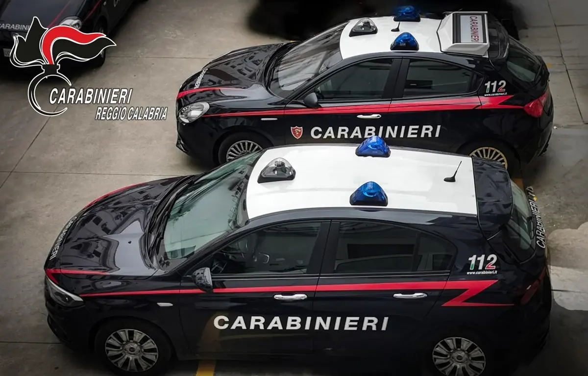 Operazione “Millennium”, la storia criminale delle ‘ndrine che comandano anche fuori i confini reggini – I NOMI DEI 200 INDAGATI
