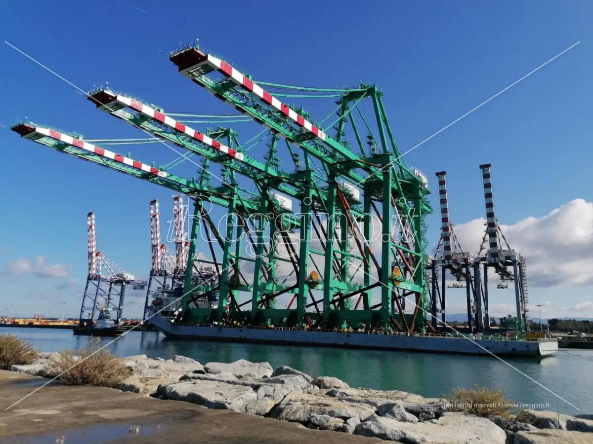 Coronavirus a Reggio Calabria, ecco le linee guida dell'Autorità portuale di Gioia Tauro