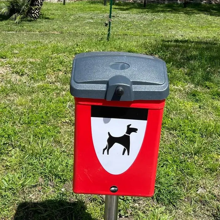 Decoro urbano, Merenda: «Saranno installati trenta nuovi cestini per la raccolta delle deiezioni canine»