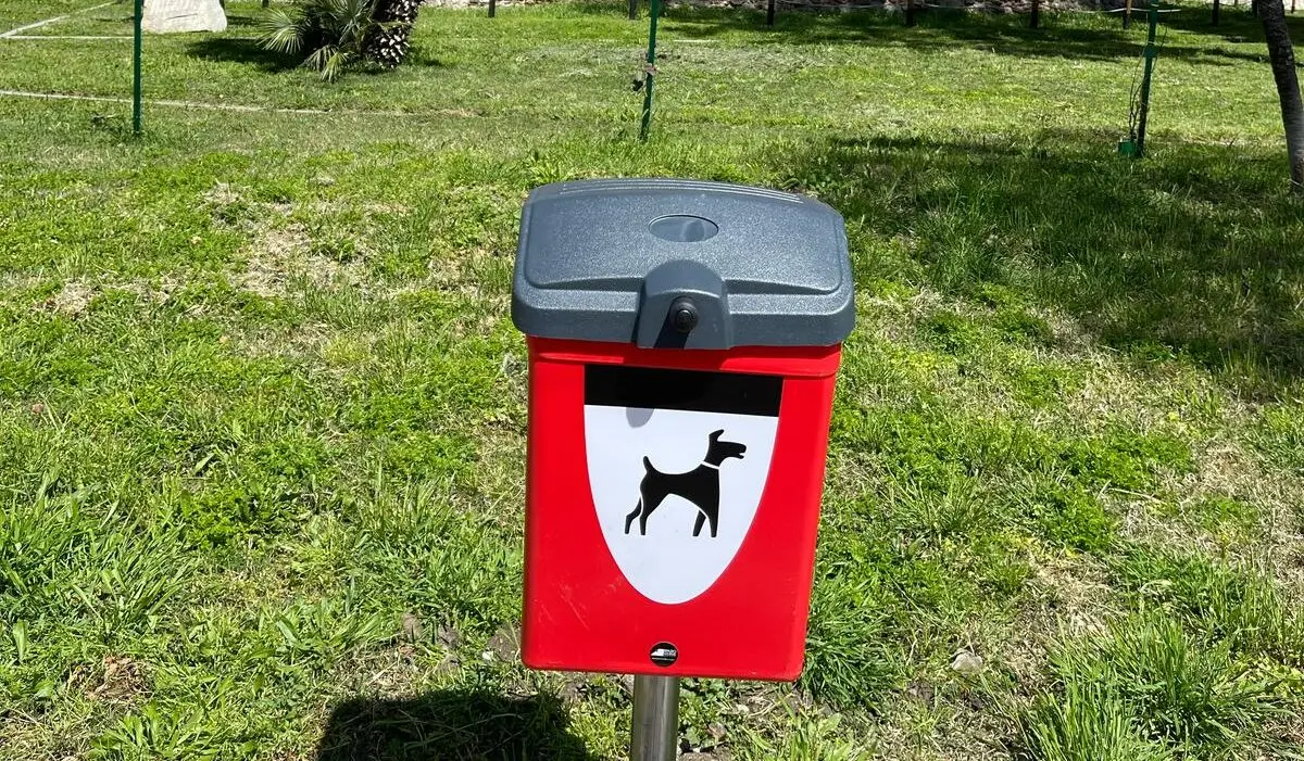 Decoro urbano, Merenda: «Saranno installati trenta nuovi cestini per la raccolta delle deiezioni canine»