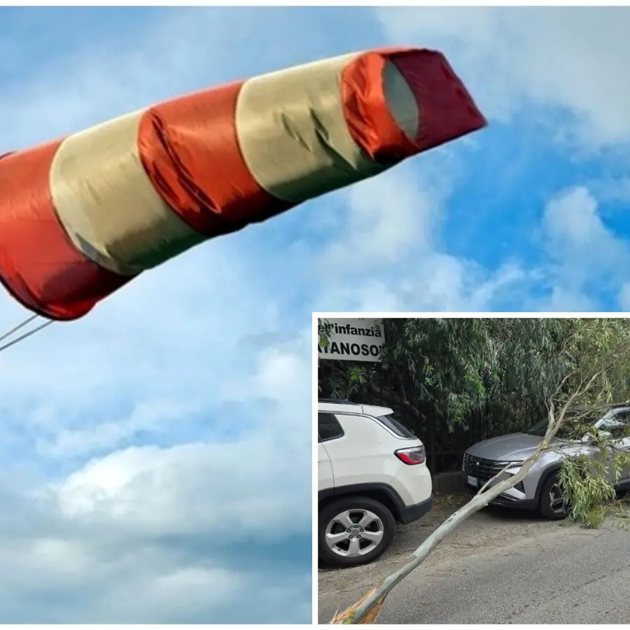 Tempesta di vento a Reggio: alberi caduti e traffico in tilt. Difficoltà nei collegamenti sullo Stretto