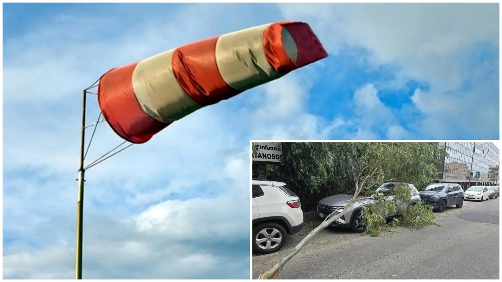 Tempesta di vento a Reggio: alberi caduti e traffico in tilt. Difficoltà nei collegamenti sullo Stretto