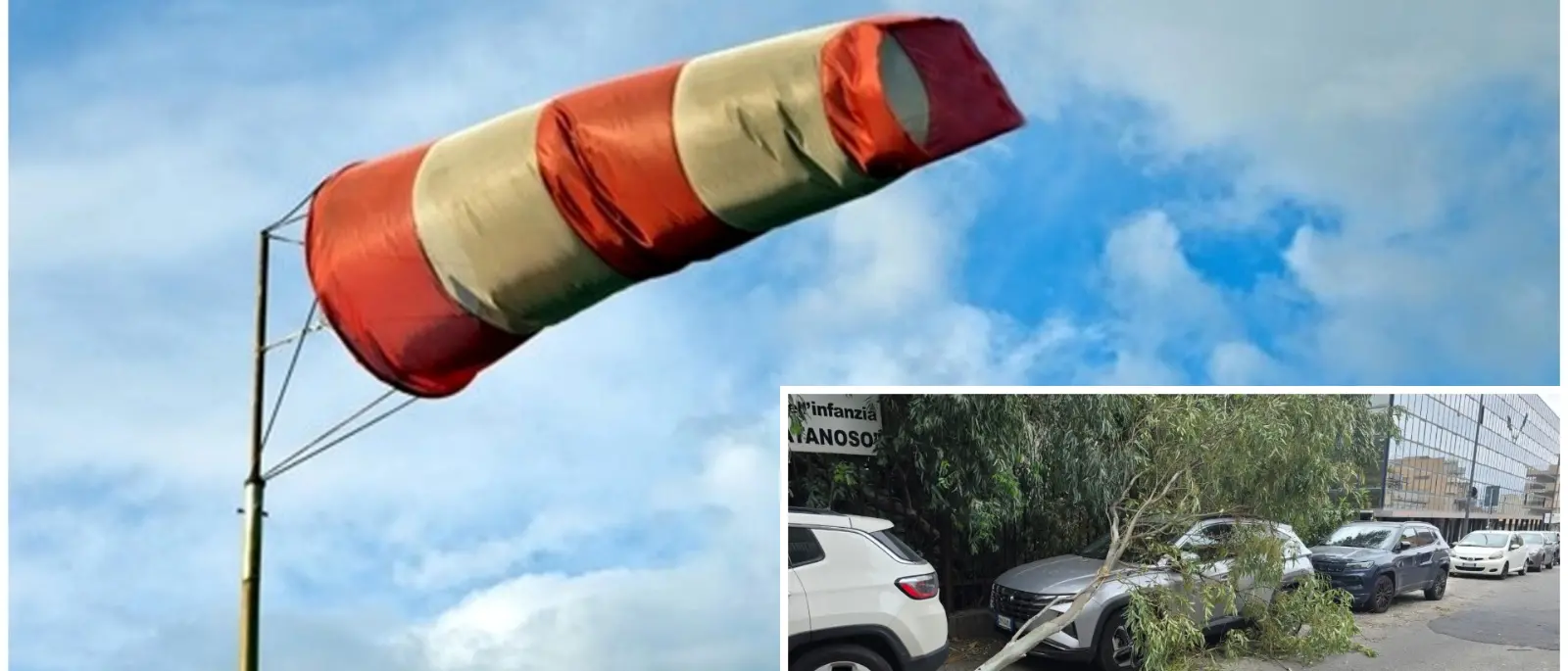 Tempesta di vento a Reggio: alberi caduti e traffico in tilt. Difficoltà nei collegamenti sullo Stretto