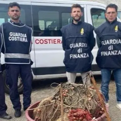 Reggio, Guardia di Finanza: Roan sequestra 5 tonnellate di prodotto ittico - FOTO