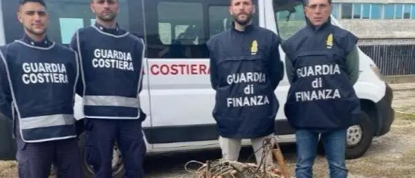 Reggio, Guardia di Finanza: Roan sequestra 5 tonnellate di prodotto ittico - FOTO