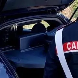 Omicidio a San Pietro di Caridà: è il terzo episodio in pochi mesi. Indagano i Carabinieri
