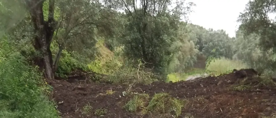 Frana tra San Procopio e Castellace: strada interrotta, bloccati gli spostamenti