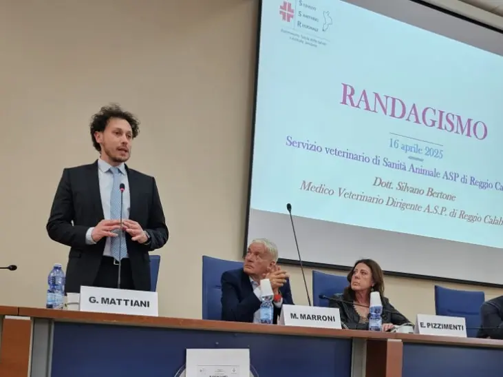 Randagismo, Mattiani: «Fatto un grande lavoro insieme all’Asp di Reggio Calabria»