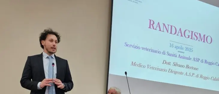 Randagismo, Mattiani: «Fatto un grande lavoro insieme all’Asp di Reggio Calabria»