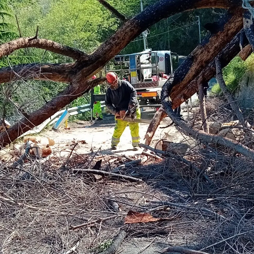 Reggio, in corso gli interventi di riparazione dei danni del recente maltempo