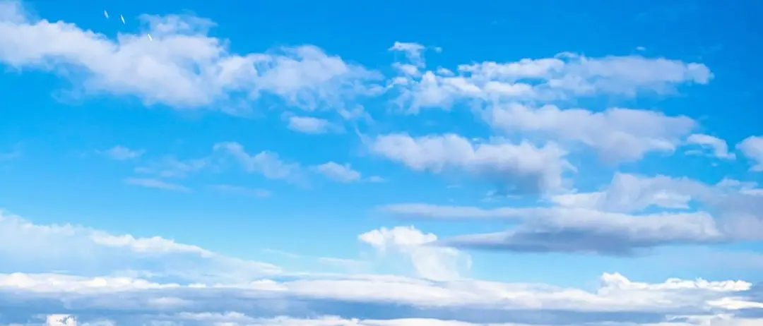 LA FOTO DEL GIORNO | Radici nell'aria