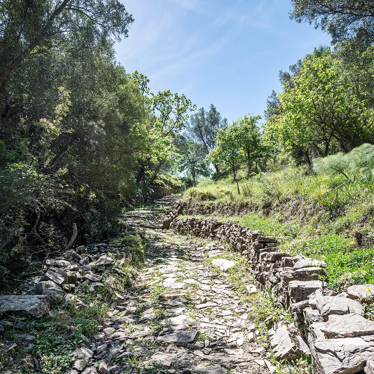 \"Gente in Aspromonte\" organizza nuova escursione domenica 4 maggio: il percorso