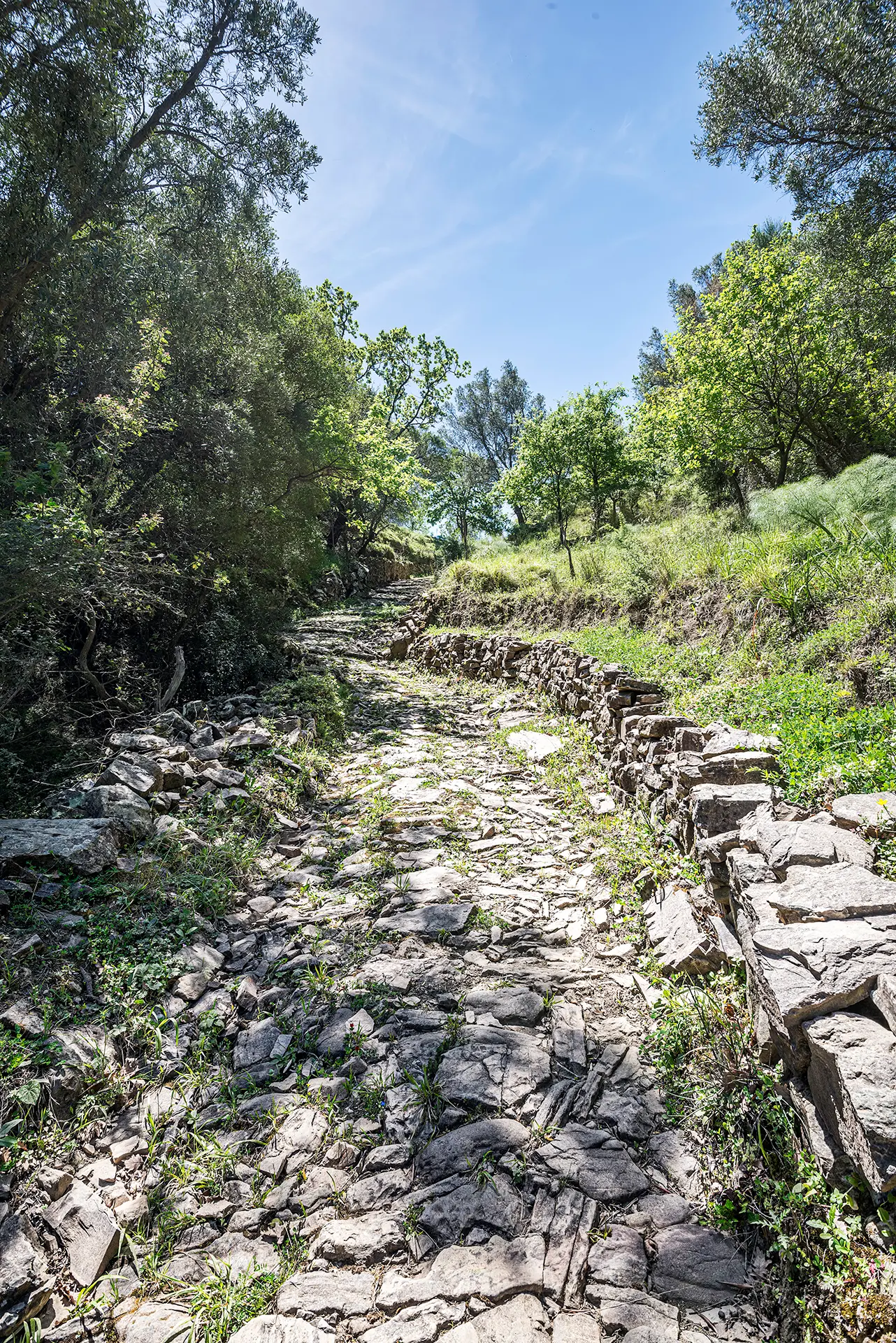 \"Gente in Aspromonte\" organizza nuova escursione domenica 4 maggio: il percorso