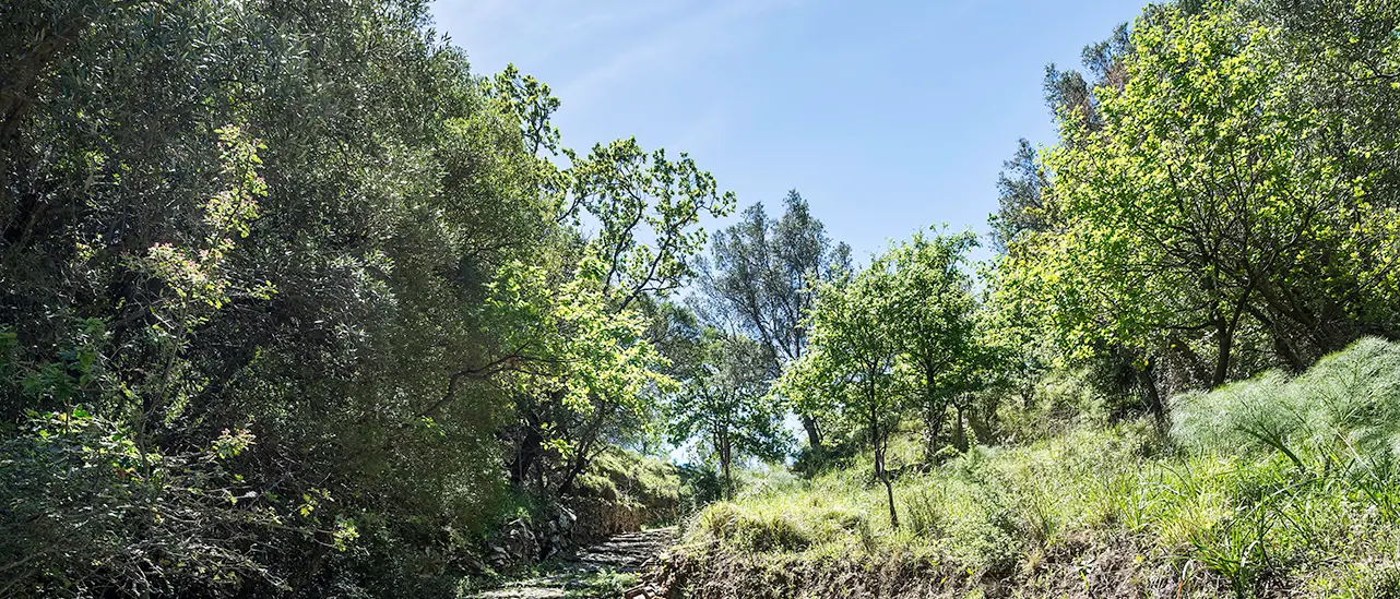 \"Gente in Aspromonte\" organizza nuova escursione domenica 4 maggio: il percorso