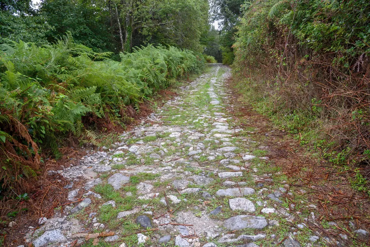 Gente in Aspromonte, ‘A massicciata di Cami la prossima meta dei Sentieri dimenticati