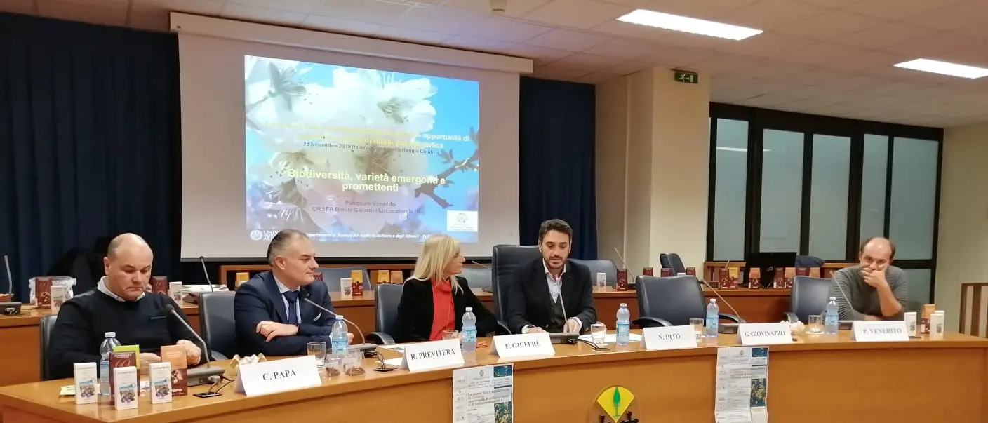 A Palazzo Campanella approda la filiera della mandorla